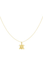 turtle tides ketting