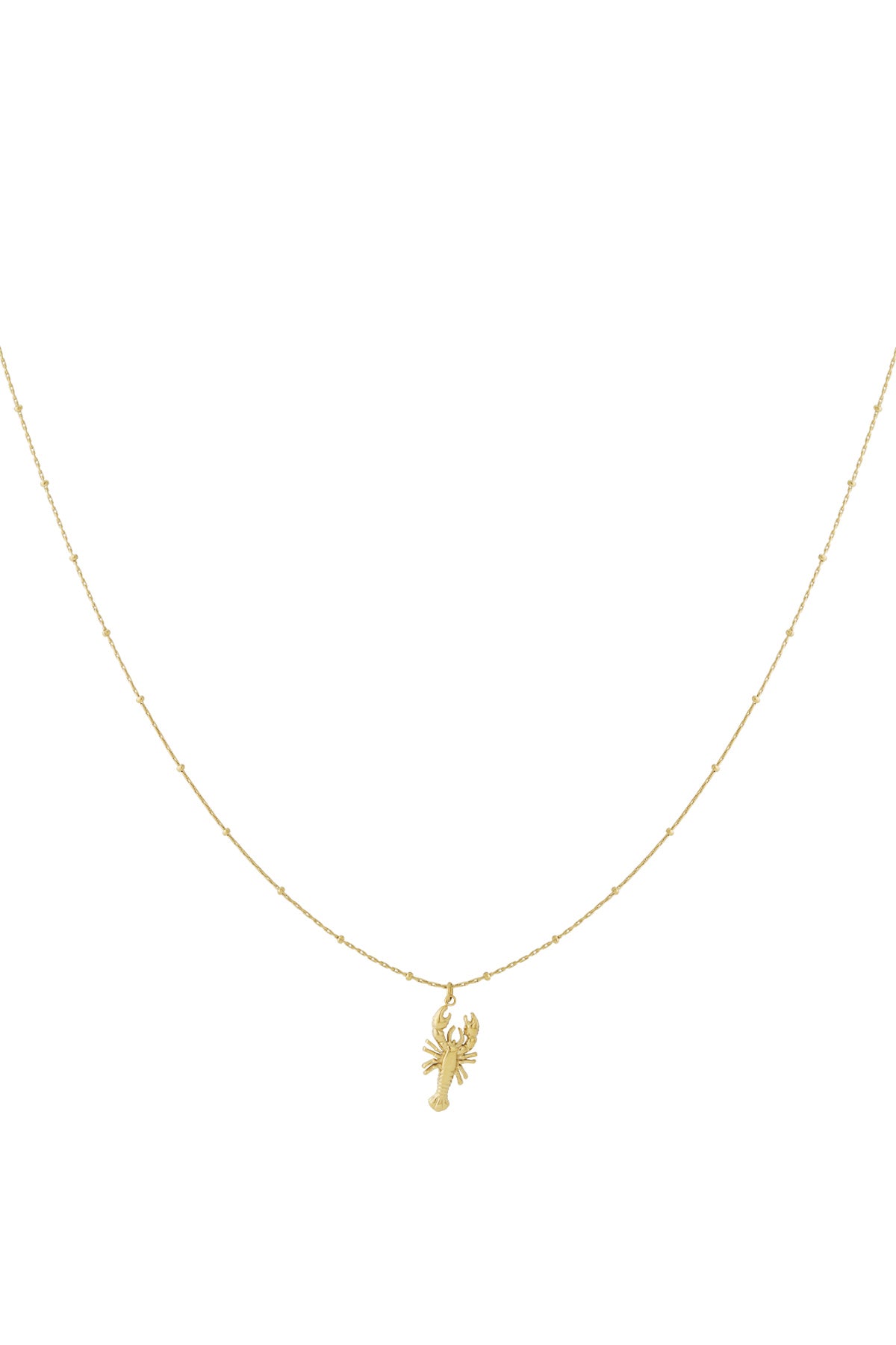   Hangerkettingen Animal Casual Daily Simple Series Damessieraden