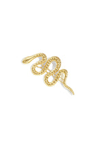 Broches van roestvrij staal – Slang