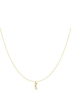   Hangerkettingen Turtle Casual Daily Simple Series Damessieraden