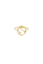 12 Zodiac-ringen