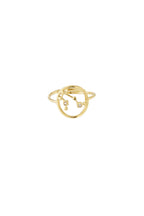 12 Zodiac-ringen