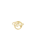 12 Zodiac-ringen