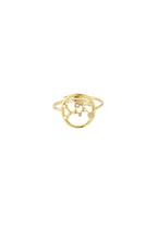 12 Zodiac-ringen