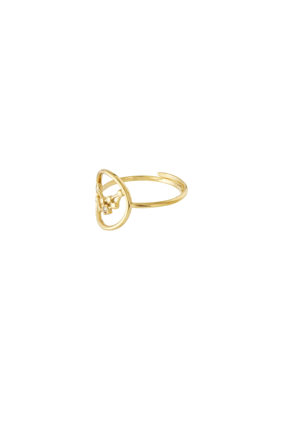12 Zodiac-ringen